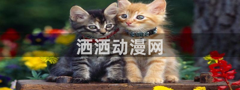 里番动漫影院