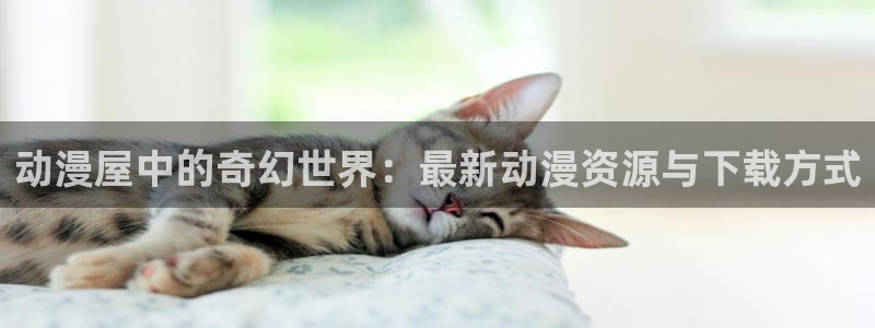 5月里番动漫：动漫屋中的奇幻世界：最新动漫资源与下载方式