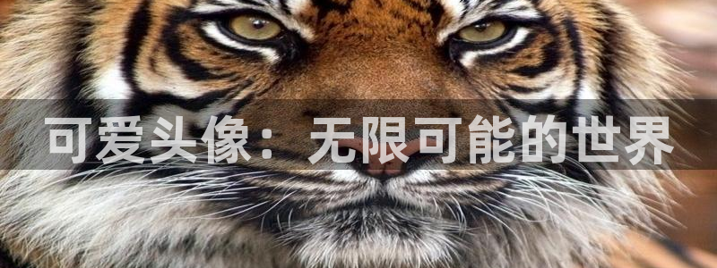 里番有哪些好看动漫：可爱头像：无限可能的世界
