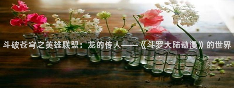 动漫里番剧大全：斗破苍穹之英雄联盟：龙的传人——《斗罗大陆动漫》的世界