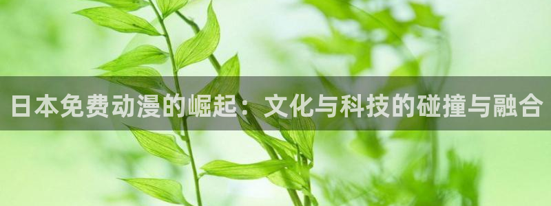 漫画工口里番：日本免费动漫的崛起：文化与科技的碰撞与融合
