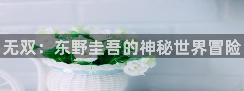 里番免费：无双：东野圭吾的神秘世界冒险