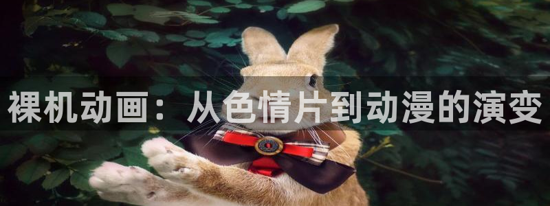 里番动漫库：裸机动画：从色情片到动漫的演变