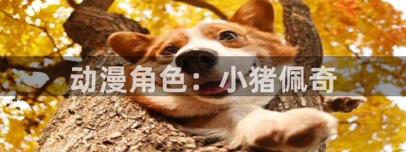 猎奇里番动漫：动漫角色：小猪佩奇