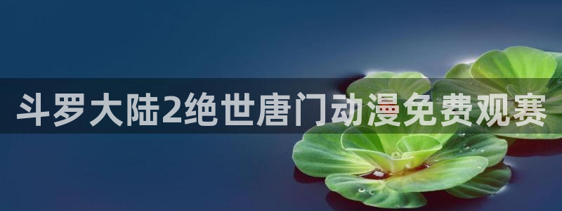 里番动漫最新网址：斗罗大陆2绝世唐门动漫免费观赛