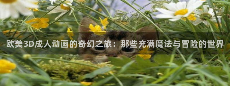 里番绅士漫画大全：欧美3D成人动画的奇幻之旅：那些充满魔法与冒险的世界